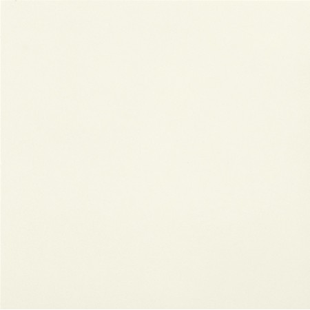 CASALGRANDE PADANA Unicolore Bianco Assoluto 60x60 10mm