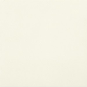 CASALGRANDE PADANA Unicolore Bianco Assoluto 20x20 8mm