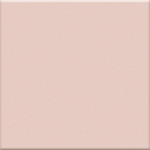 VOGUE IN ROSA 20X20 (OPACA)
