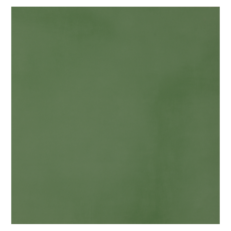 CASALGRANDE PADANA R-evolution Green 60x60 10mm