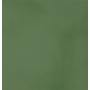 CASALGRANDE PADANA R-evolution Green 60x60 10mm