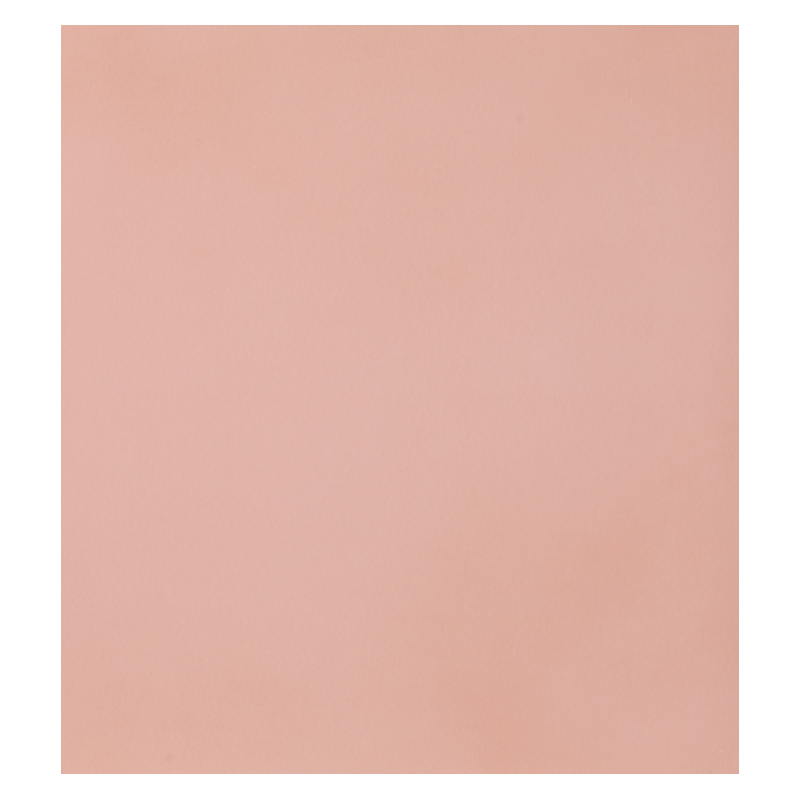 CASALGRANDE PADANA R-evolution Light Pink 60x60 10mm