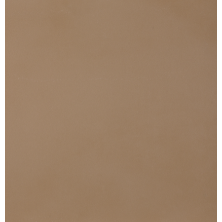 CASALGRANDE PADANA R-evolution Terra 60x60 10mm