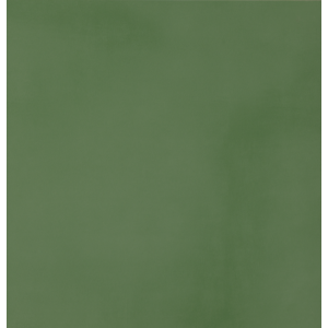 CASALGRANDE PADANA R-evolution Green R10 60x60 10mm