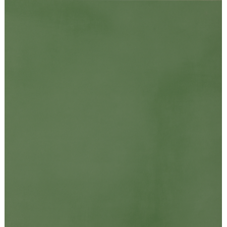 CASALGRANDE PADANA R-evolution Green R10 60x60 10mm