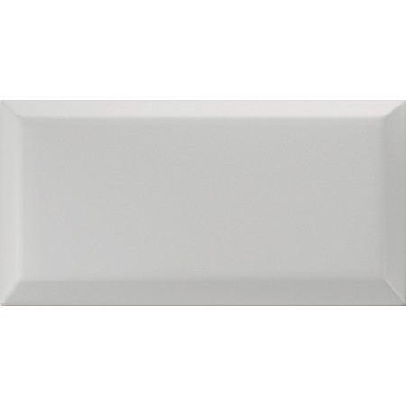 VOGUE INTERNO BISELLO 10X20 IN ARGENTO (OPACA)