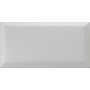 VOGUE INTERNO BISELLO 10X20 IN ARGENTO (OPACA)