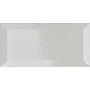 VOGUE TRASPARENZE BISELLO 10X20 TR ARGENTO (LUCIDA)