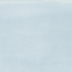 TONALITE ELEVENUANCE CELESTE 11.5X11.5