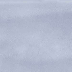 TONALITE ELEVENUANCE GLICINE 11.5X11.5