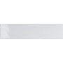 TONALITE FLUID CAMELIA GLOSSY 6,2X25