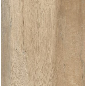 CASTELVETRO CERAMICHE AEQUA SILVA 60X60 RETT sp 20mm