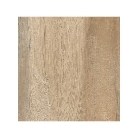 CASTELVETRO CERAMICHE AEQUA SILVA 60X60 RETT sp 20mm