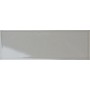 TONALITE SILK POLVERE 10X30