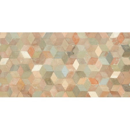 NAXOS PICTURA FABER CANOSA SOFT 60X120 RECTIFIED R9