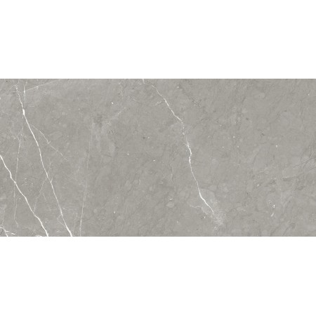 NAXOS RHAPSODY ALLURE LEVIGATO 60X120 Rectified