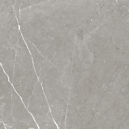 NAXOS RHAPSODY ALLURE LEVIGATO 60X60 Rectified