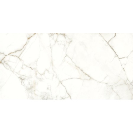 NAXOS RHAPSODY EMOTION LEVIGATO 60X120 Rectified