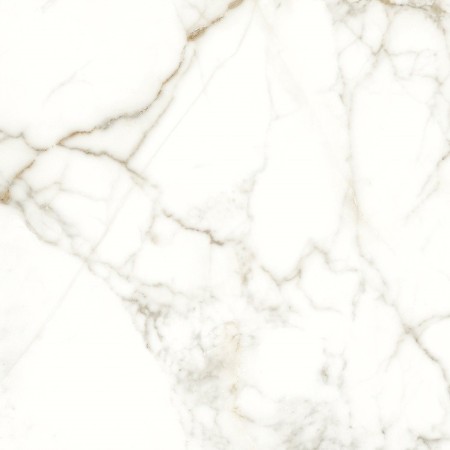 NAXOS RHAPSODY EMOTION LEVIGATO 60X60 Rectified