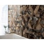 NAXOS RHAPSODY OUTLINE DARK LEVIGATO 60X120 RETTIFICATO