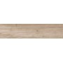 NAXOS ALPI FASSA NATURALE 23X100 PAVIMENTO