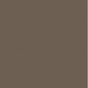 CERIM CRAYONS HAZELNUT NATURALE 120X120