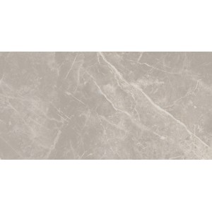 CERIM ELEMENTAL STONE GREY DOLOMIA LUCIDO 30X60