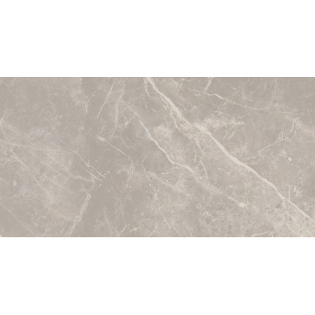 CERIM ELEMENTAL STONE GREY DOLOMIA LUCIDO 30X60
