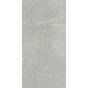 CERIM EXALT SILVER LIGHT NATURALE 60X120