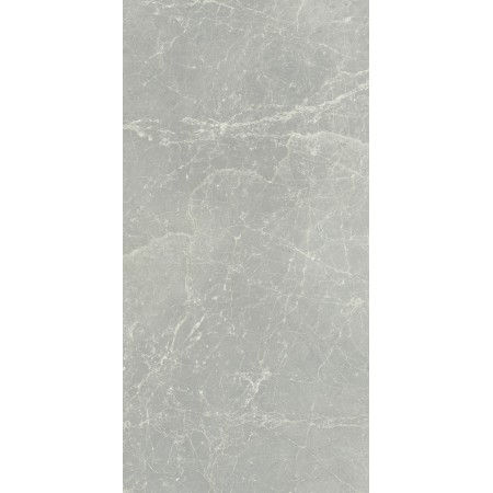 CERIM EXALT SILVER LIGHT NATURALE 60X120