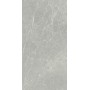 CERIM EXALT SILVER LIGHT NATURALE 60X120