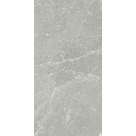 CERIM EXALT SILVER LIGHT LUCIDO 60X120