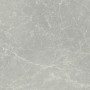CERIM EXALT SILVER LIGHT LUCIDO 60X60