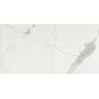 CERIM TIMELESS CALACATTA NATURALE 60X120