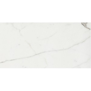 CERIM TIMELESS CALACATTA NATURALE 30X60