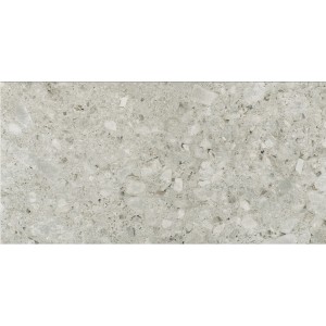 CERIM TIMELESS CEPPO DI GRÈ LUCIDO 60X120