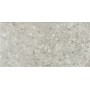 CERIM TIMELESS CEPPO DI GRÈ LUCIDO 60X120