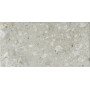 CERIM TIMELESS CEPPO DI GRÈ LUCIDO 60X120