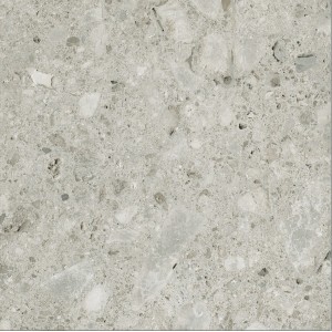 CERIM TIMELESS CEPPO DI GRÈ LUCIDO 60X60