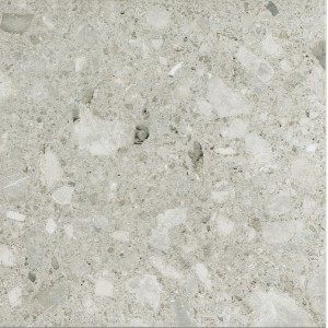 CERIM TIMELESS CEPPO DI GRÈ NATURALE 60X60