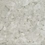 CERIM TIMELESS CEPPO DI GRÈ NATURALE 60X60