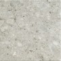 CERIM TIMELESS CEPPO DI GRÈ NATURALE 60X60