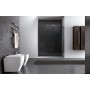 DISENIA WALK-IN 1 FIXED SIDE 8 MM GLASS - TRANSPARENT GLASS, POLISHED CHROME PROFILE.