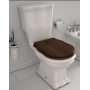HIDRA  ELLADE WC MONOBLOCCO RIMLESS CON SCARICO A PARETE