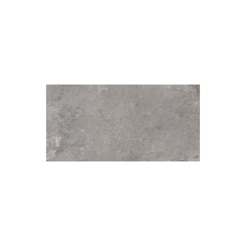 RAGNO CERAMICHE REALSTONE_LUNAR SILVER 75X150 RETTIFICATO