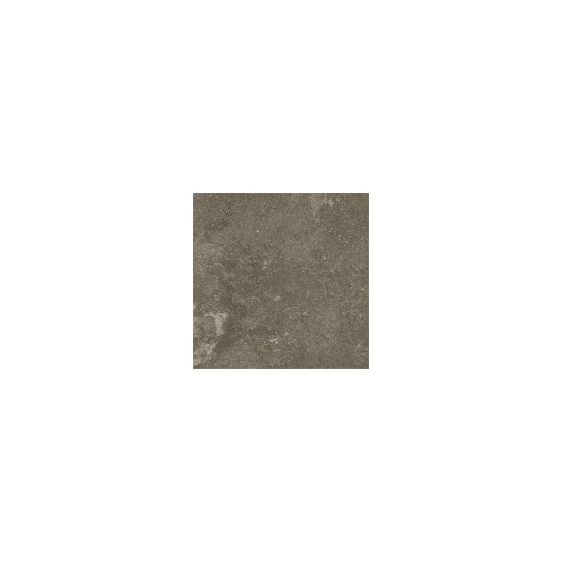 RAGNO CERAMICHE REALSTONE_LUNAR UNIFORM 75X75 RETTIFICATO