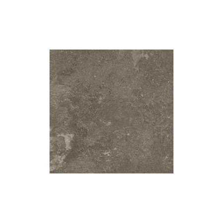 RAGNO CERAMICHE REALSTONE_LUNAR UNIFORM 75X75 RETTIFICATO