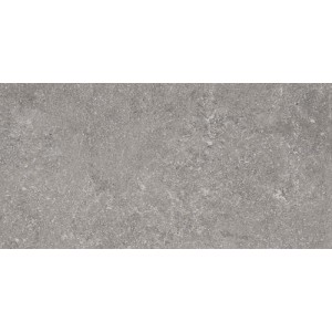 RAGNO CERAMICHE REALSTONE_LUNAR SILVER 30X60 Rectified