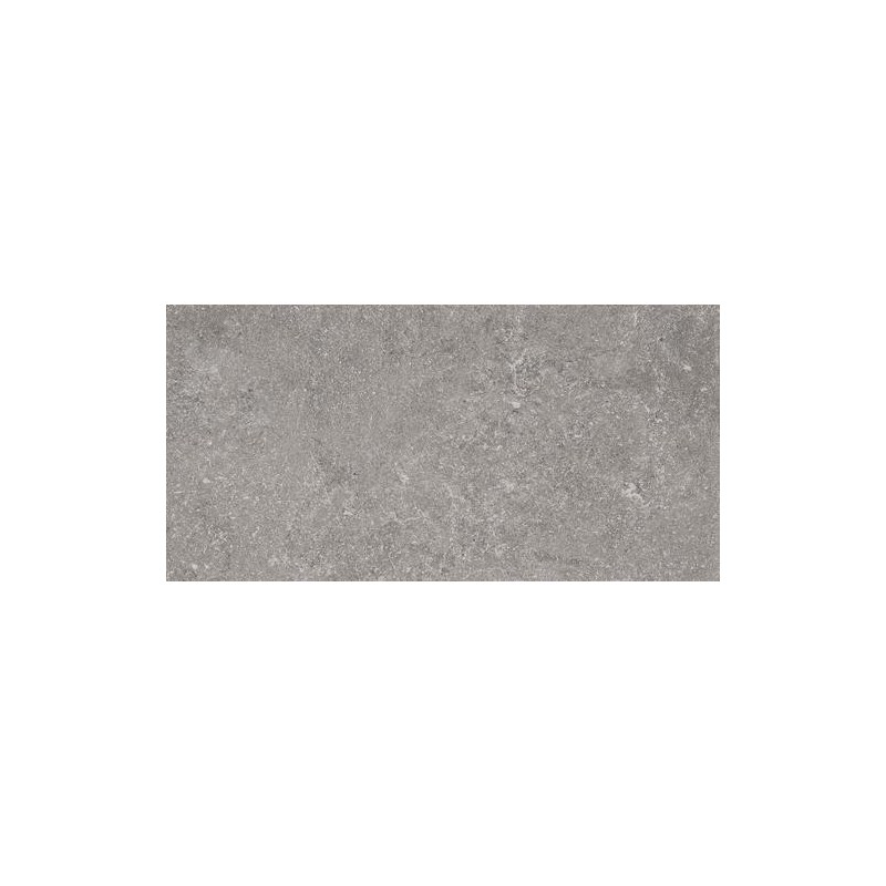 RAGNO CERAMICHE REALSTONE_LUNAR SILVER 30X60 RETTIFICATO