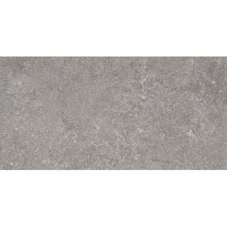 RAGNO CERAMICHE REALSTONE_LUNAR SILVER 30X60 RETTIFICATO